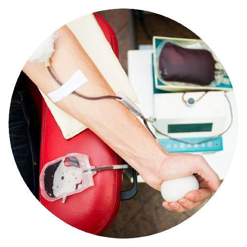 Blood Donation Services