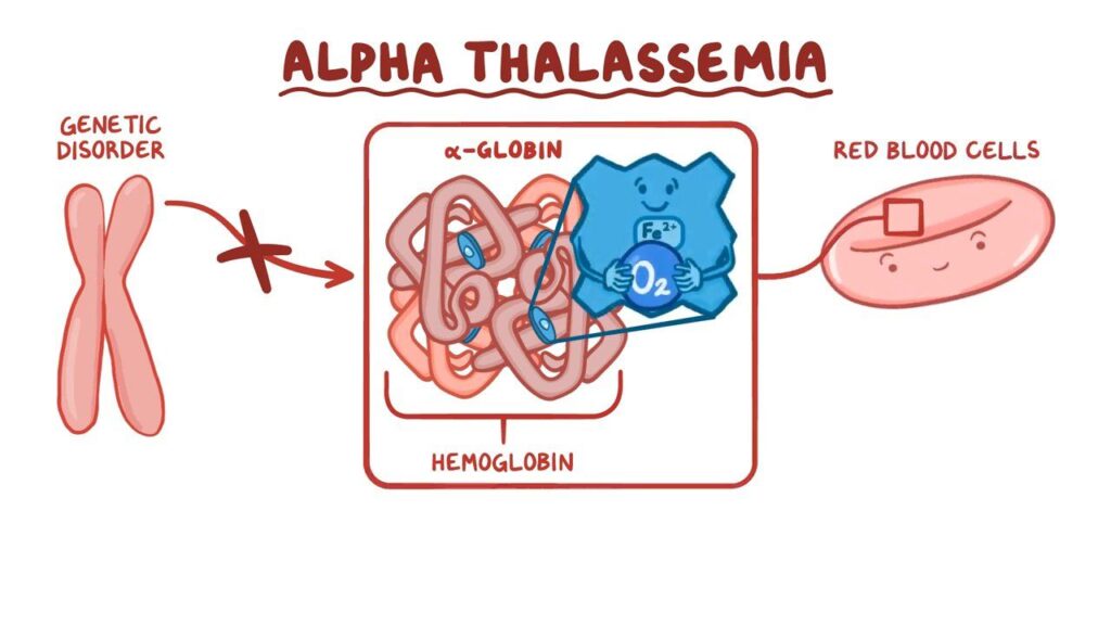 Thalassemia awareness